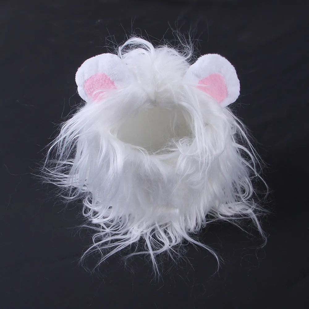 Black cat wearing lion headgear wig with adjustable elastic strap around head