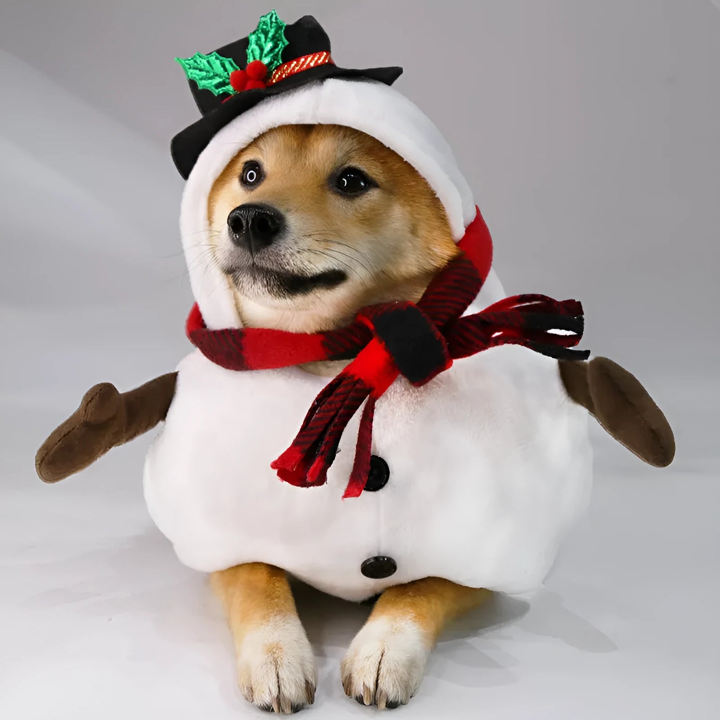 Christmas snowman costume for dog or cat with festive holiday design