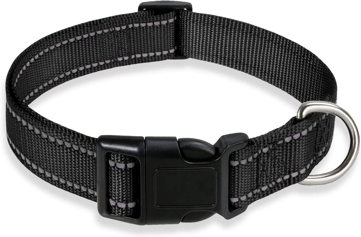 Nylon adjustable dog collar with chest strap in multiple colour options on a white background