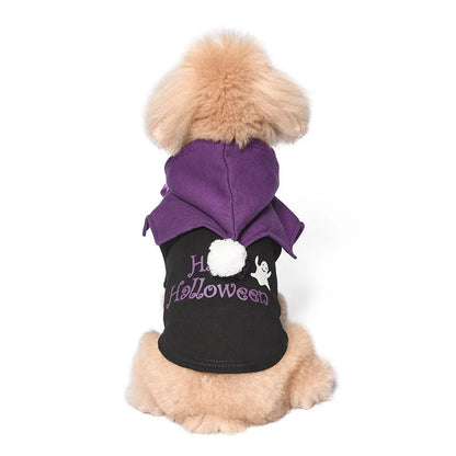 Black and orange Halloween dog costume with sweater and shawl pieces