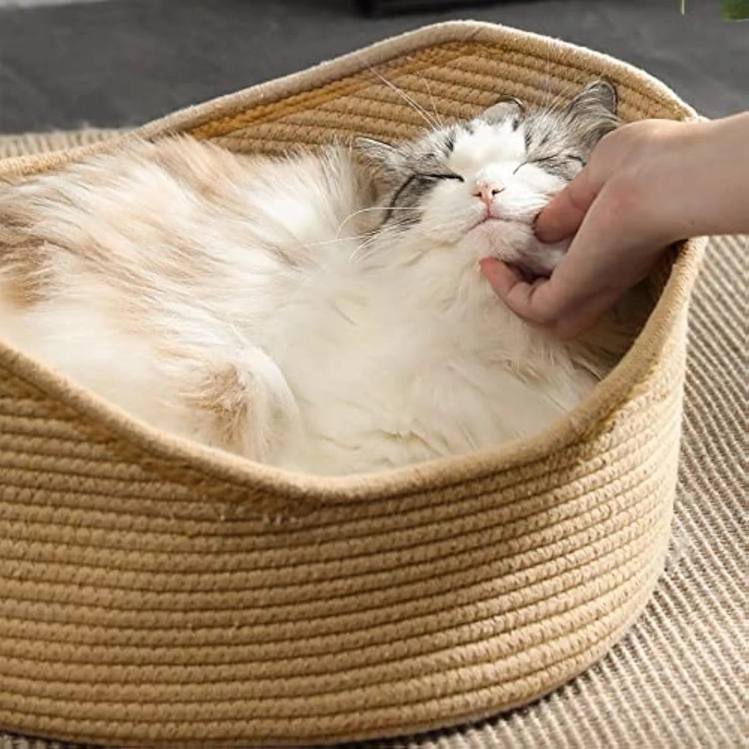 Wicker-style cat bed basket with integrated corrugated cardboard scratching surface, shown in a home setting.
