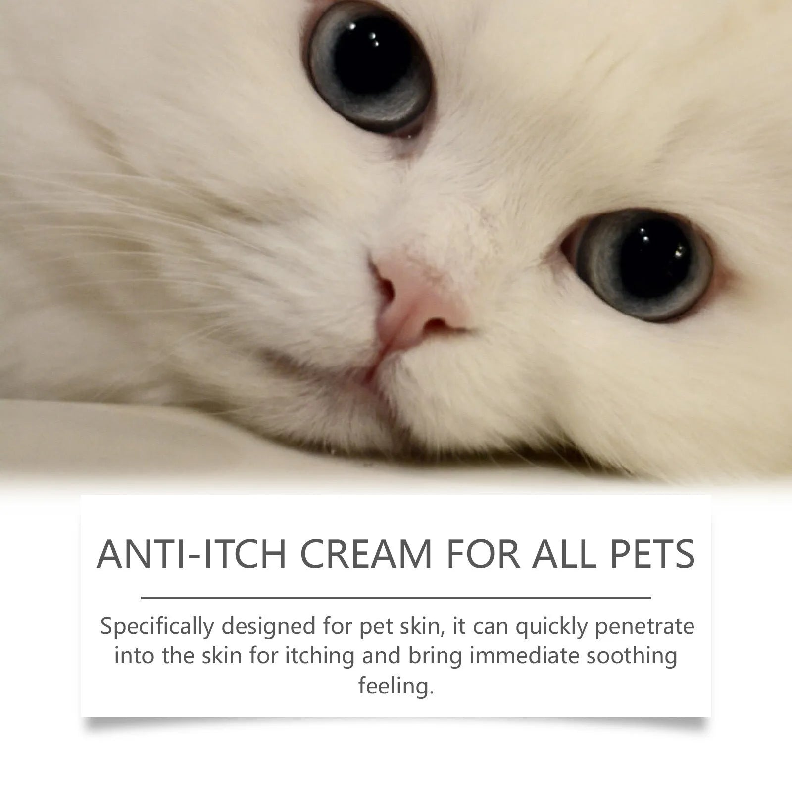 60g tube of pet antipruritic cream for cats with tea tree oil and botanical extracts formula