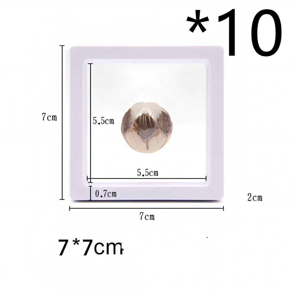 Black 11x11cm suspended 3D floating display frame holding a coin, with square base for stable collectible showcase