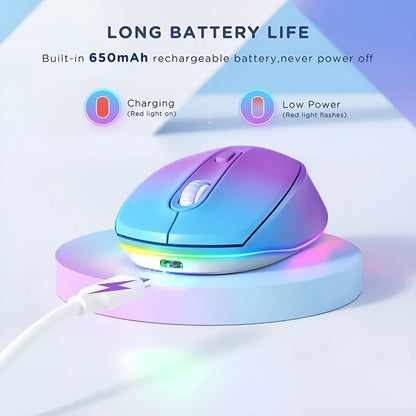 24g wireless ergonomic mouse with USB receiver and charging cable