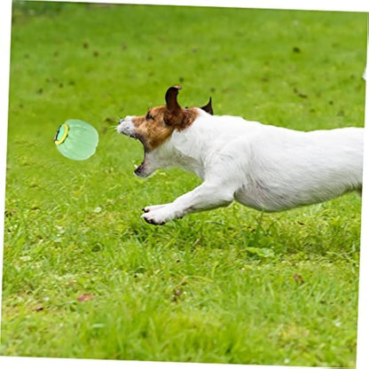 Green, orange, and yellow pumpkin-shaped plastic dog ball with squeaker for small dogs.
