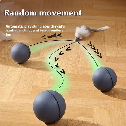 Automatic cat teasing ball with plush mouse for interactive pet play