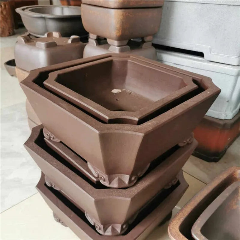 40cm square purple clay bonsai pot in brown, tree stump design, shown with plants on a tabletop