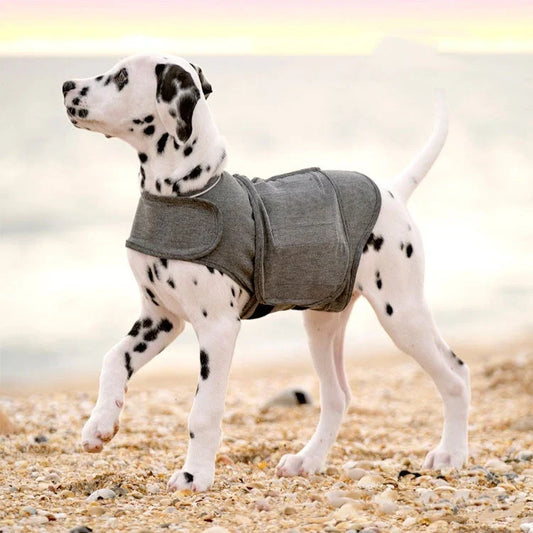 Dog wearing a stylish heather gray anxiety jacket for warmth and comfort