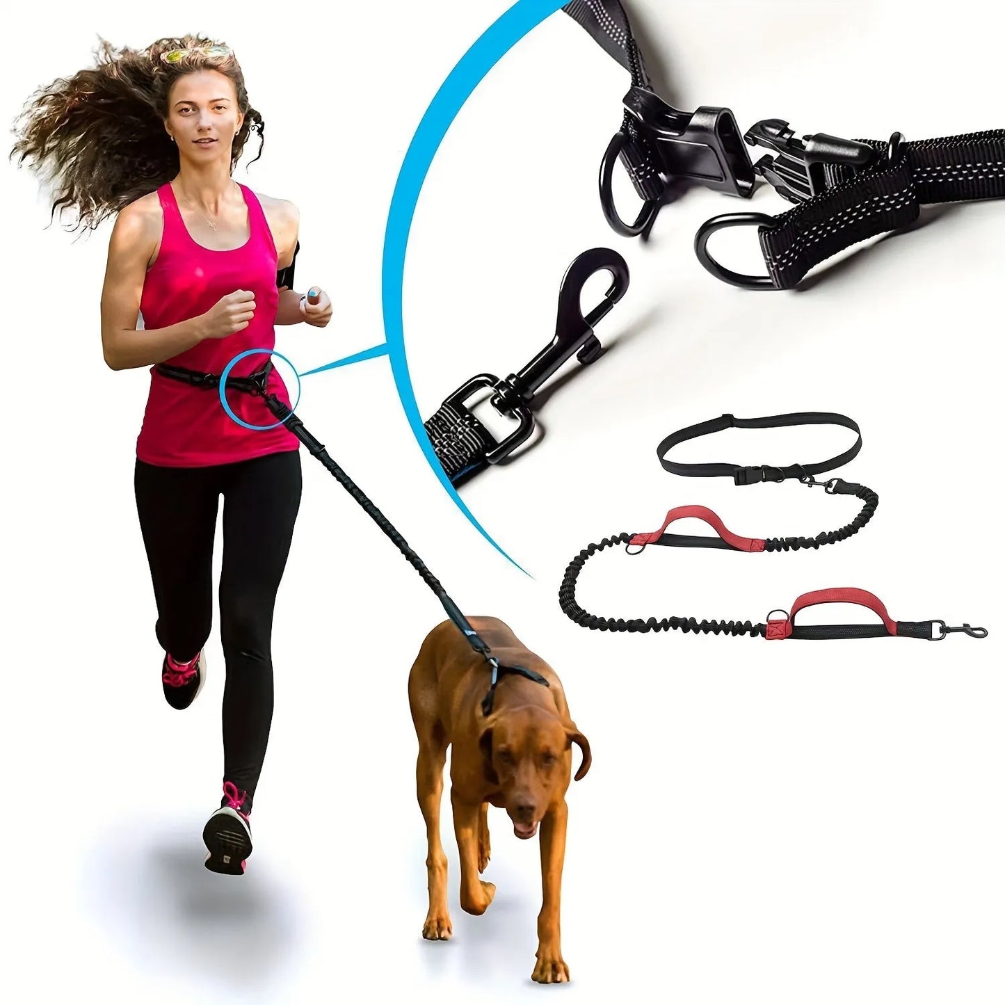 Nylon hands-free dog leash with adjustable waist belt shown in multiple colours