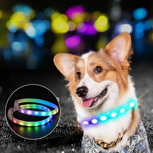 Bright LED pet collar with adjustable design for safe nighttime dog walking