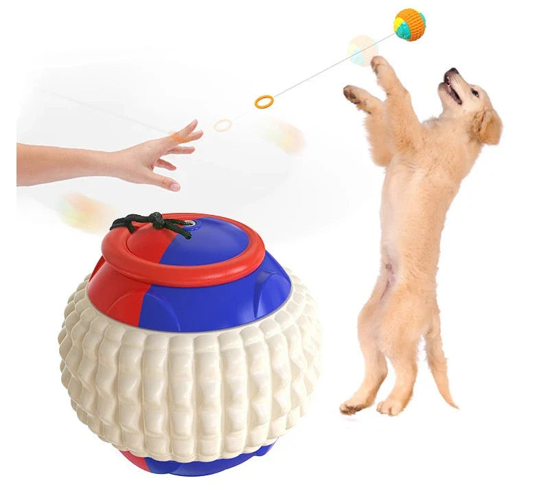 Interactive dog toy with retractable throwing ball, textured dental chew surface, and durable ABS construction