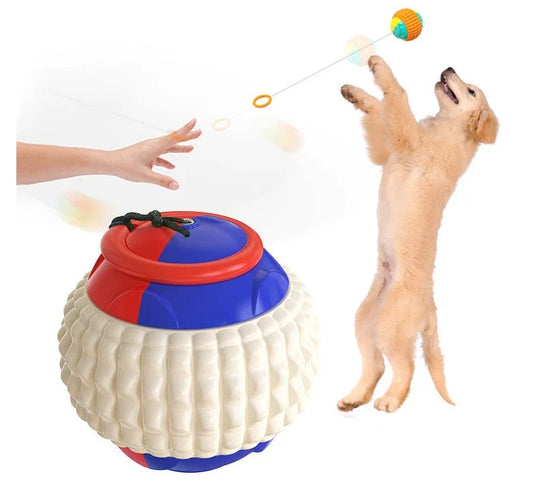 Interactive dog toy with retractable throwing ball, textured dental chew surface, and durable ABS construction