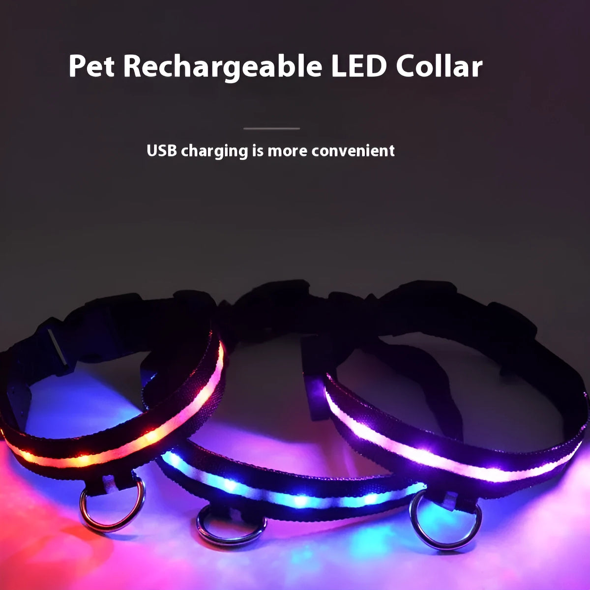 Black LED luminous dog collar and leash set for night-time walking safety