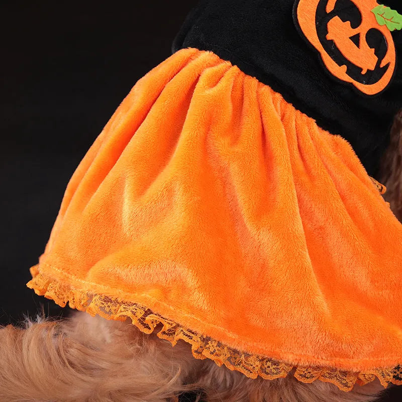 Orange Halloween pumpkin skirt costume and matching sweater for a small dog on a mannequin.