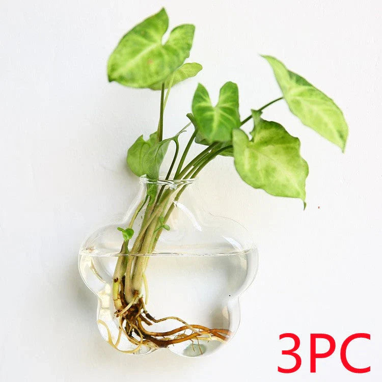 Wall-mounted glass flower vase and terrarium with various design options for customization and decoration