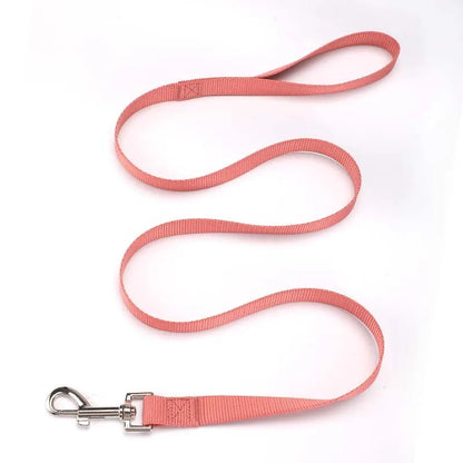 Solid colour polyester dog leash rope in hand, showing various width and colour options.