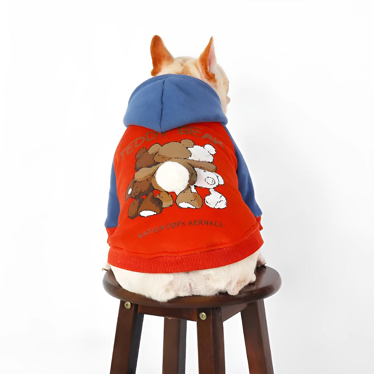 Red cotton dog coat for small to medium-sized breeds like Teddy or Corgi on a white background.