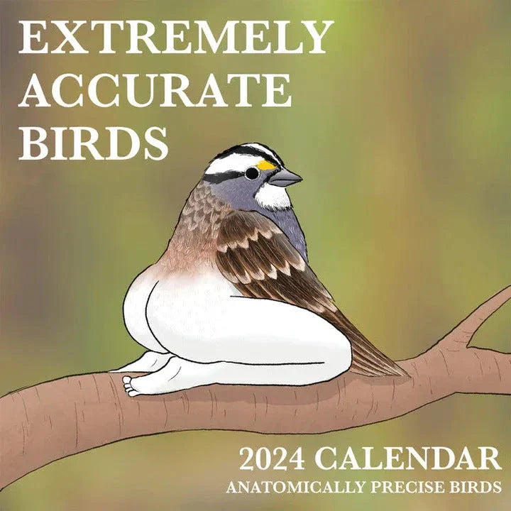 2024 Charming Bird Wall Calendar with detailed illustrations of various bird species