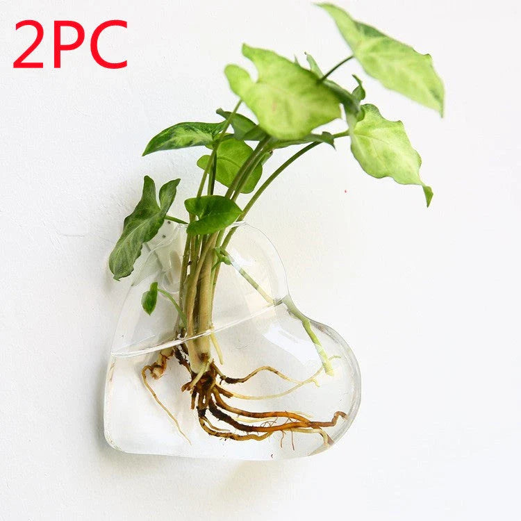 Wall-mounted glass flower vase and terrarium with various design options for customization and decoration