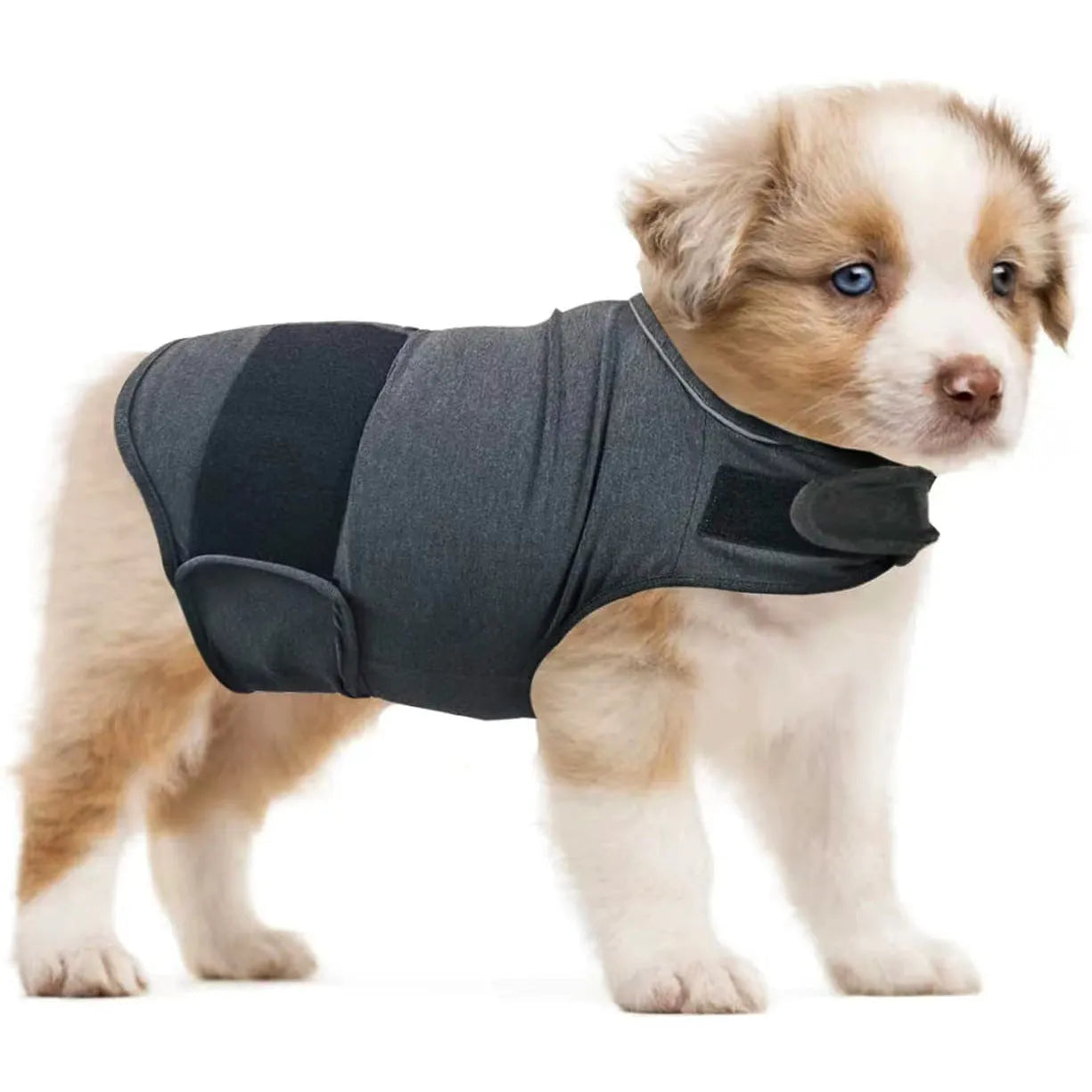 Dog wearing brown anxiety compression vest tank top for separation anxiety relief