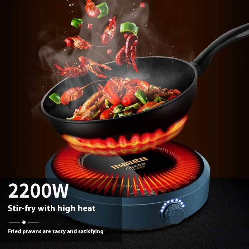 Induction cooker with circular glass hob and knob control