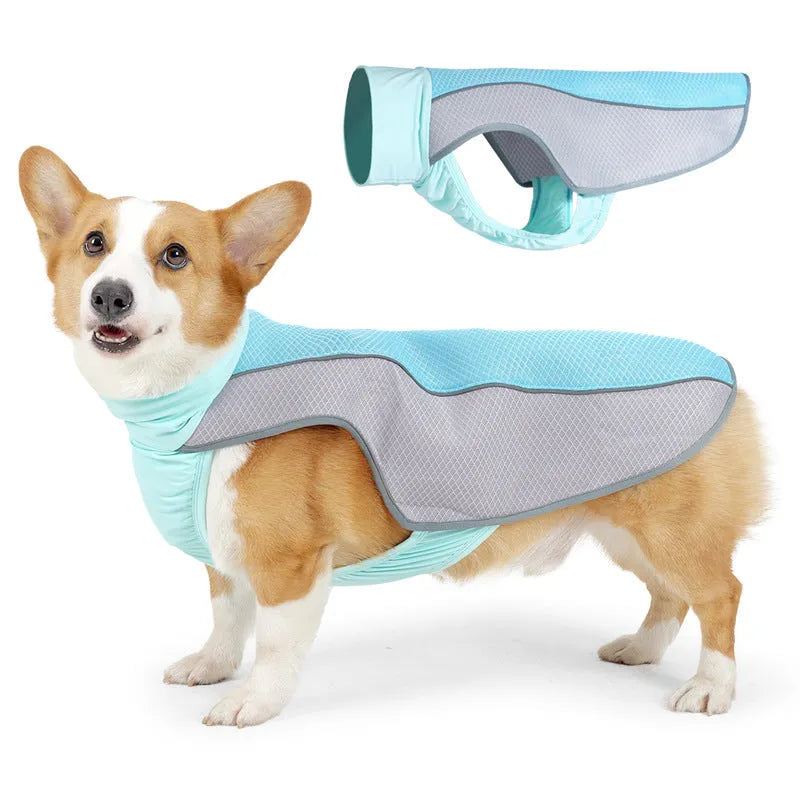 Lightweight polyester mesh dog cooling vest for summer heatstroke prevention on a dog