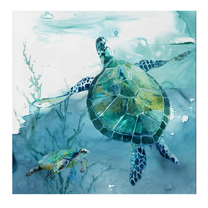 Frameless turtle canvas printing poster in 40x40cm square size with detailed picture colours