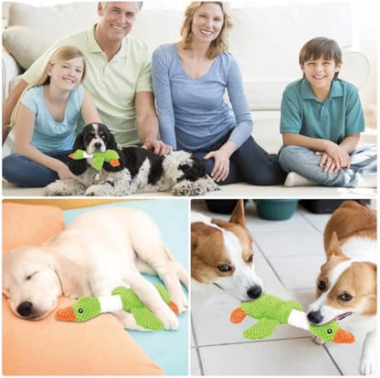 Blue duck-shaped dog plush toy with two squeakers for dental cleaning, 33 cm by 10 cm