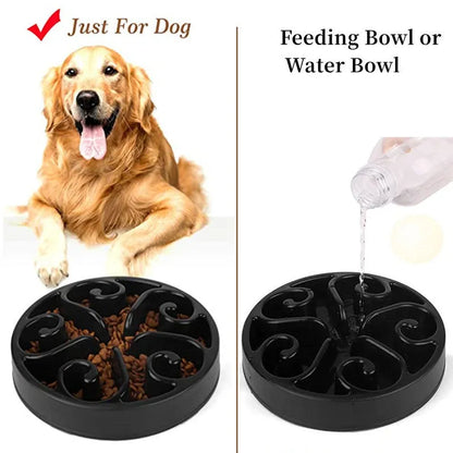 Coloured plastic dog slow feeder bowl showing internal maze pattern and ridges, with wide non-slip base