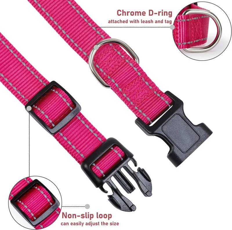 Nylon adjustable dog collar with chest strap in multiple colour options on a white background