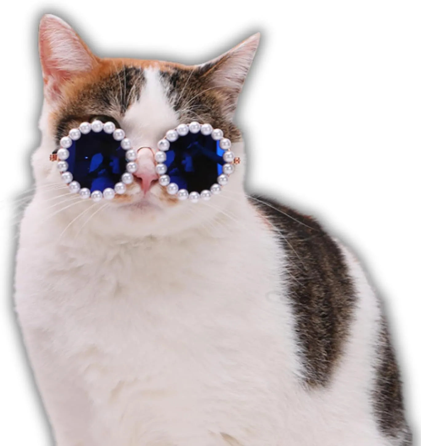 Pearl-trimmed round sunglasses for cats and dogs in five colour options