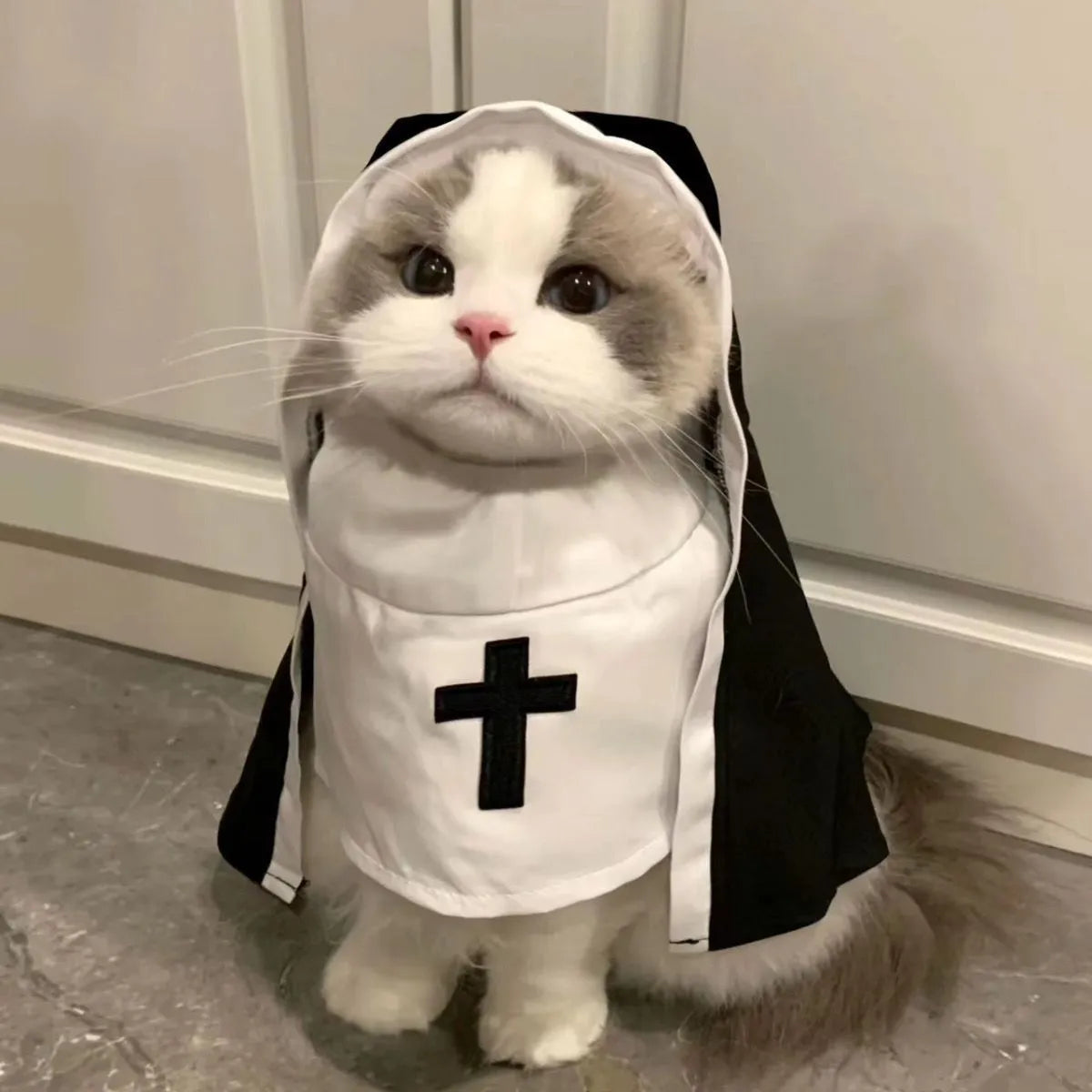 Black and white nun costume cloak for a small dog on a Halloween backdrop.