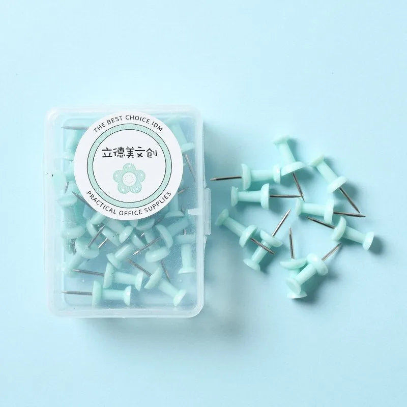 Plastic push pins in macaron colours - large and small sizes in boxed packaging