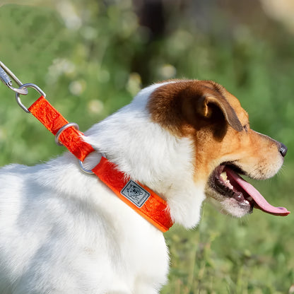 Adjustable P chain dog collar in army green nylon webbing with aluminium alloy fittings.