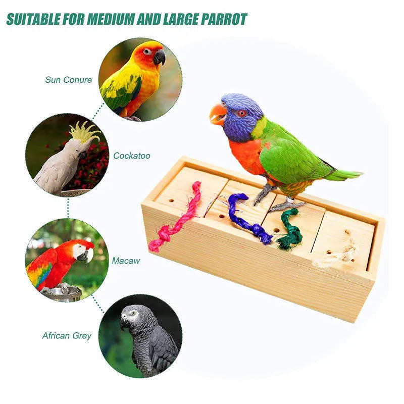 Wooden parrot puzzle training toy set showing pieces from the 3, 6 and 8 piece configurations.