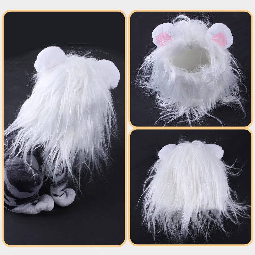 Black cat wearing lion headgear wig with adjustable elastic strap around head