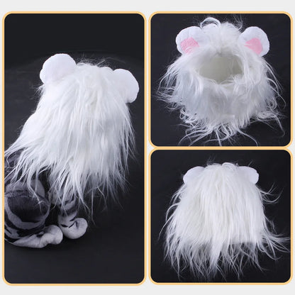 Black cat wearing lion headgear wig with adjustable elastic strap around head