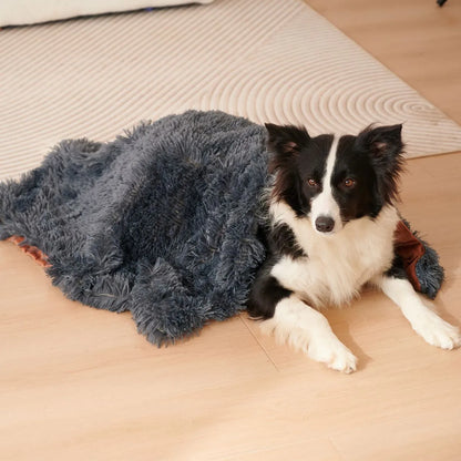 Light grey double-layer velvet plush pet blanket folded on a sofa next to a dog.