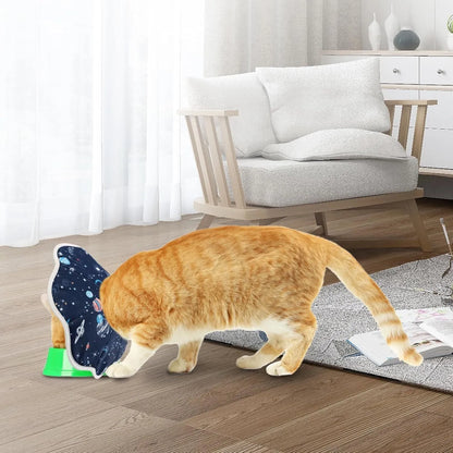 Soft adjustable cat cone collar in constellation pattern showing fastener and soft edging