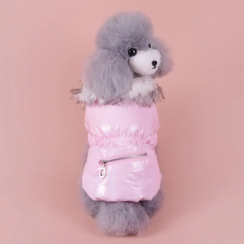 British style blue cotton dog jacket with winter padding shown on a model dog