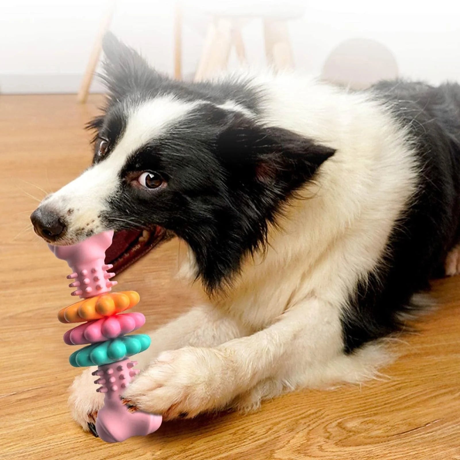 TPR Dog Chew Bone in blue, pink, and green for teeth cleaning and stress relief