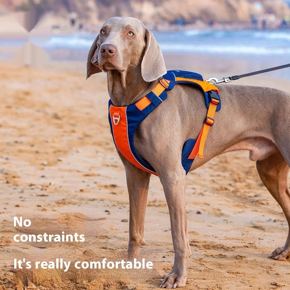 Nylon dog chest strap vest harness in orange blue colour with adjustable rope design