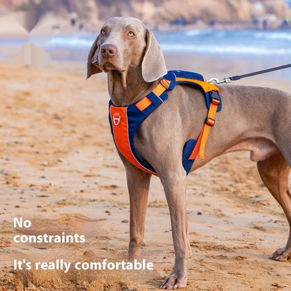 Nylon dog chest strap vest harness in orange blue colour with adjustable rope design