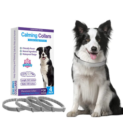 Four adjustable dog anxiety collars with Chinese style patterns in different colours showing 62cm length and TPR material