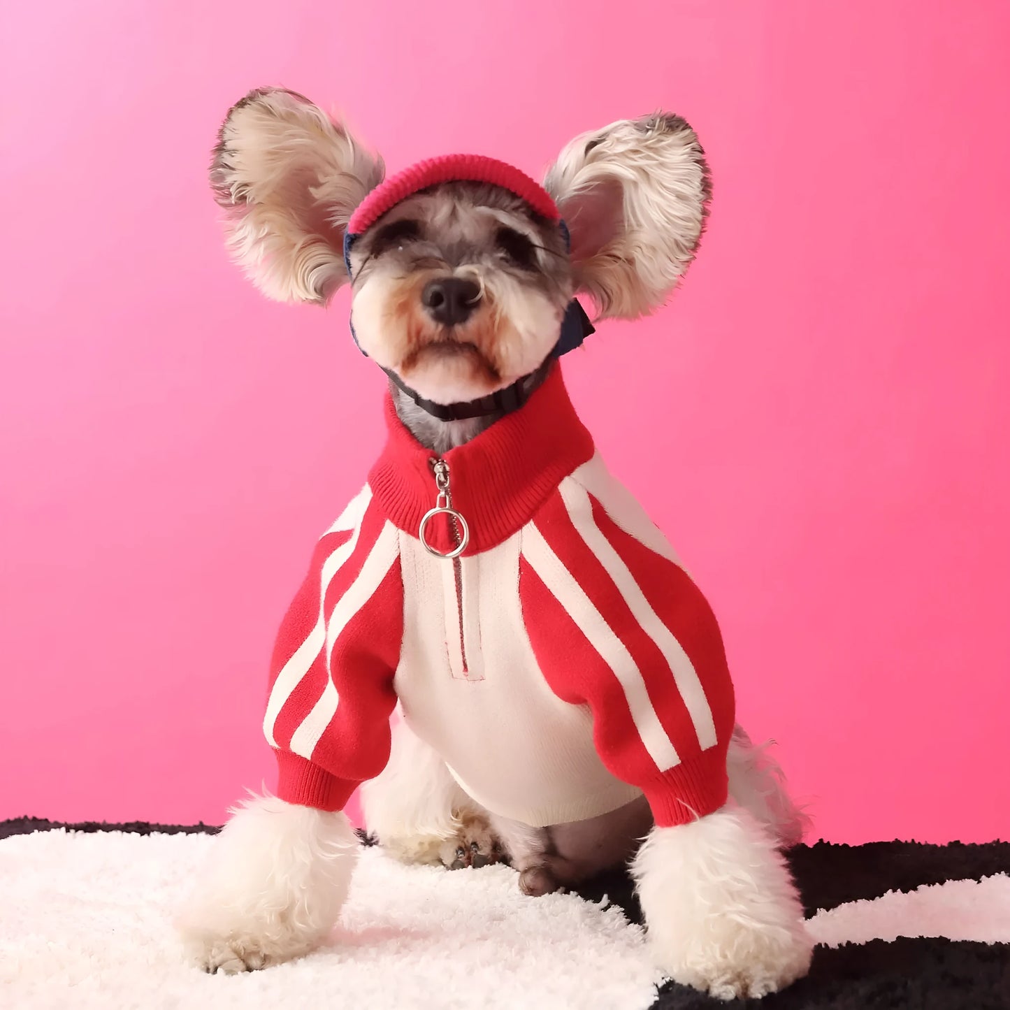 Red wool dog sports cardigan for male dogs, sizes S to XXL, casual pet sweater