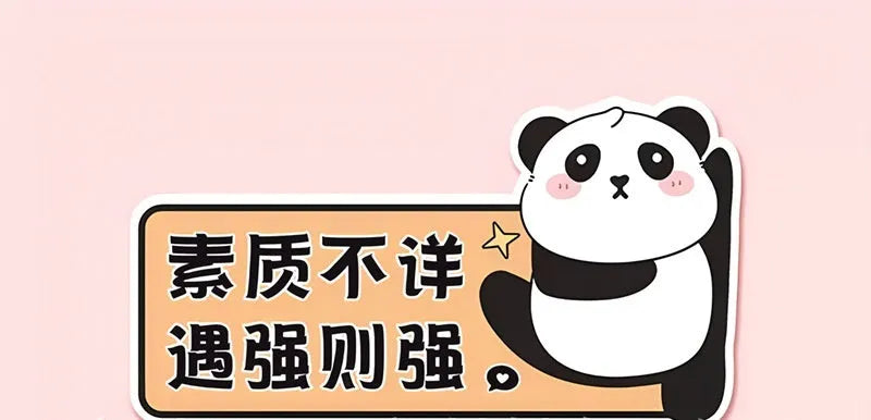 Reflective car sticker for female drivers with panda design and driving message on vehicle bumper