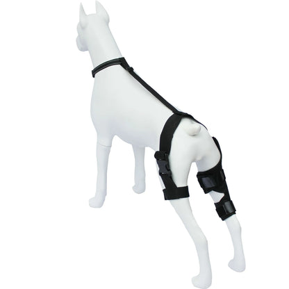 Adjustable neoprene dog hind leg support brace for hip dysplasia and arthritis.
