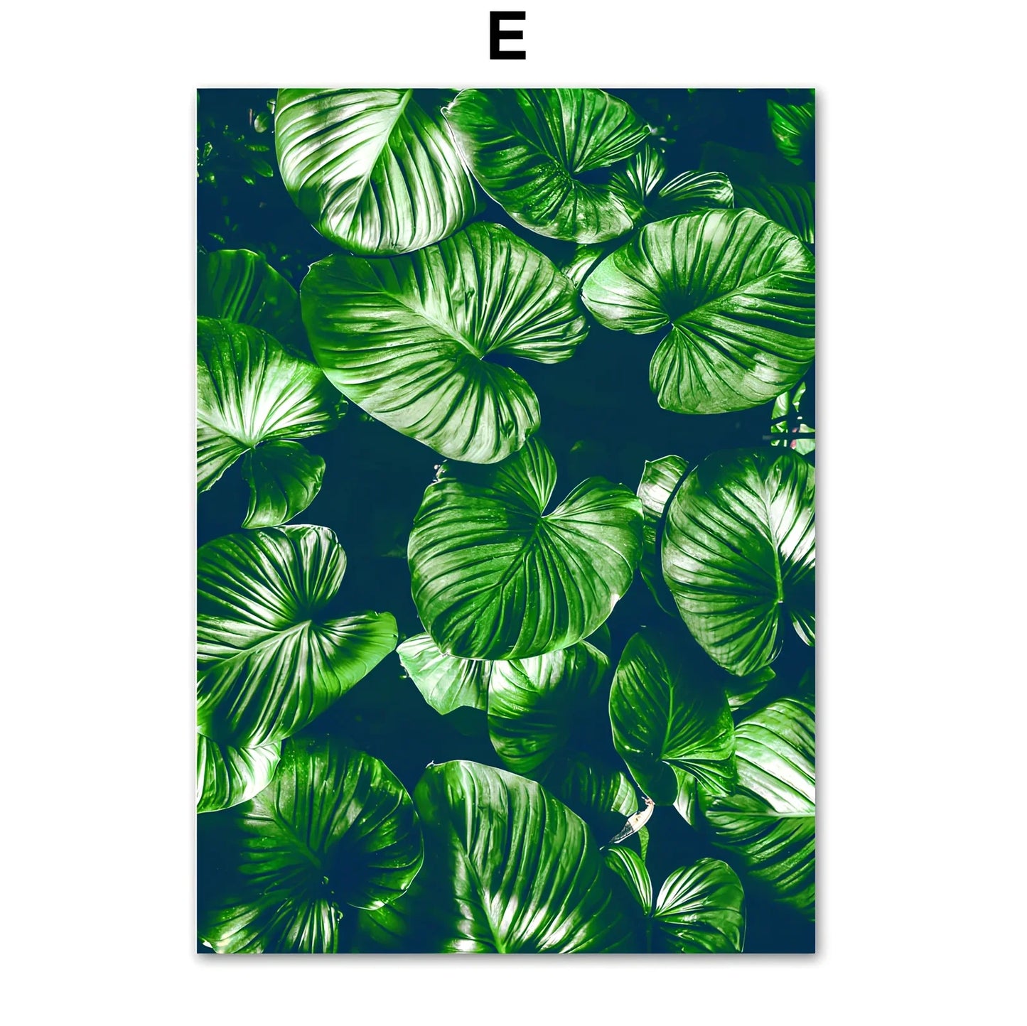 Frameless green plant canvas painting showing botanical pattern on chemical fibre canvas material