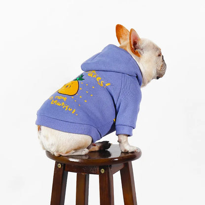 Blue and purple cotton pet hoodie with cartoon print design for dogs and cats