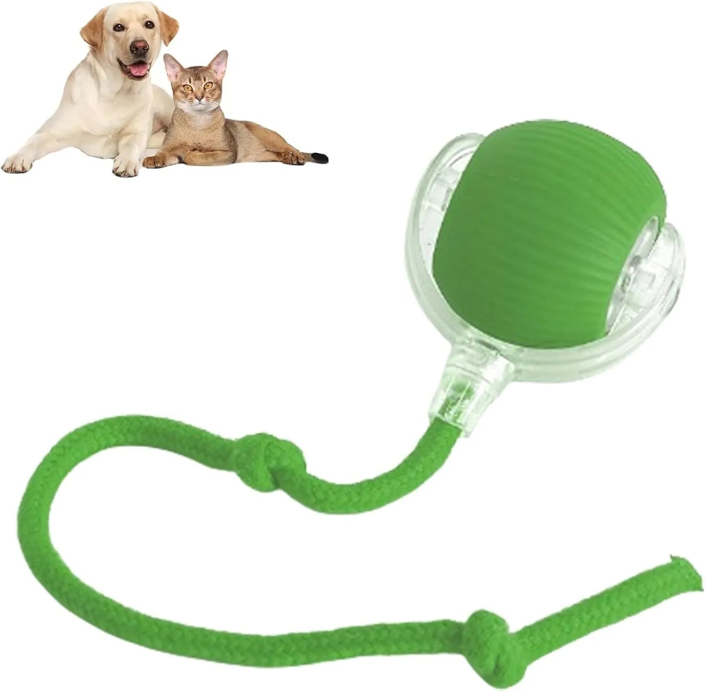 Smart automatic 360 rolling pet ball toy with rope attachment in grey, green, and red colours